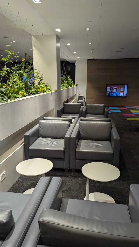 Interior view of a modern lounge featuring grey leather armchairs, small white tables, and decorative plants along the walls, with a television screen in the background.